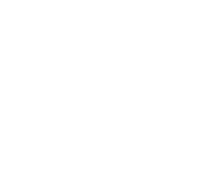 Turí Brasil