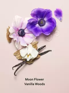 Midnight Bloom - comprar online
