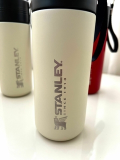 BOTELLA TERMICA CON INFUSOR - 500ml - comprar online