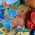 Combo Solo Para Kids "Pokemon" en internet