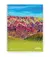 Cuaderno universitario 84 hojas A4 Avon rayado o cuadriculado