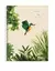 Cuaderno Universitario NAT 70 Hojas A4 rayado o cuadriculado en internet