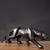 Estátua geométrica pantera leopardo animal resina para a decoração Home, - comprar online