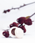 Balsamo Labial C/ Color