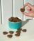 Chocolate Pet - comprar online