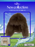 Gorro Ushanka Y2K con piel sintetica - comprar online