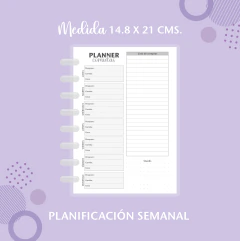 Modelo: Cute - comprar en línea