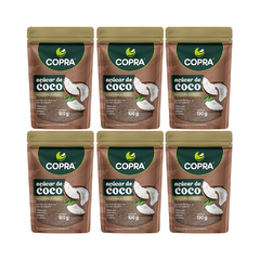 Kit com 6 Pouchs de Açúcar de Coco de 100g cada - Copra