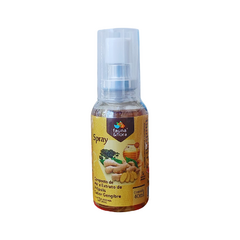 Composto de Mel e Extrato de Própolis sabor Canela 40mL - Fauna & Flora - comprar online
