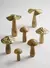 LE LIS CASA - COGUMELO WOOD M BEGE - Amies
