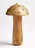 LE LIS CASA - COGUMELO WOOD M BEGE - comprar online