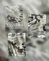Polar animal print gris