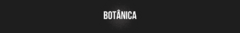 Banner da categoria Botânica