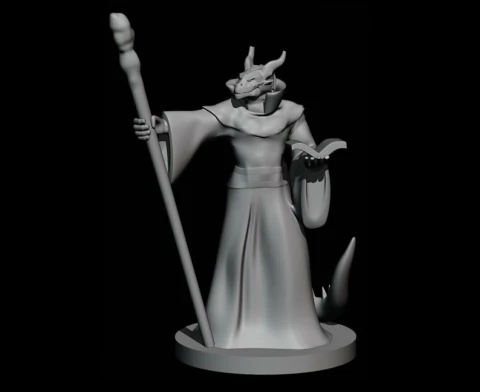 Dragonborn Wizard Male