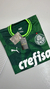 Camisa de Time Palmeiras