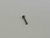 Labret Titânio Push Pin Ponto de Luz - comprar online