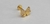 Labret Titânio Gold 24K Laço