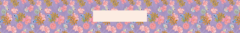 Banner da categoria Papagaio Lilás