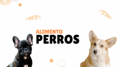 Banner de la categoría Alimento perros