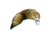 Plug Anal de Metal Rabo de Raposa - comprar online