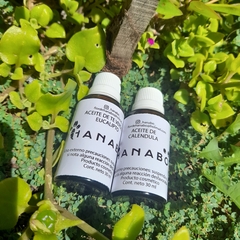 Aceite de te verde & eucalipto - tienda online