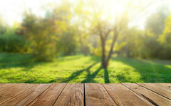 Banner de la categoría JARDIN