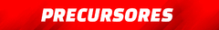 Banner de la categoría PRECURSORES