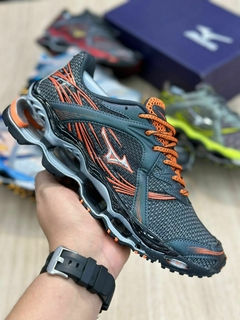pro 1