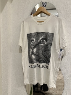 Remeron cat 420