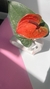 Vaso floresce amor na internet