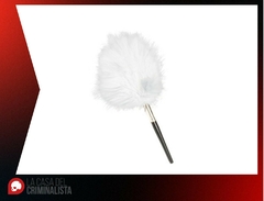 Imagen de Brochas