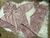 CONJUNTO PLUSH LACOSTE - comprar online