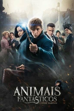 2017 Animais Fantásticos e Onde Habitam (Dublado) - Na Escolha de 10 filmes ou desenhos, o Pen-Drive será grátis...Aproveite!