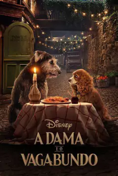 2020 A Dama e o Vagabundo - Na Escolha de 10 filmes ou desenhos, o Pen-Drive será grátis...Aproveite!
