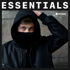 Alan Walker 2019 - Essentials - Na compra de 10 álbuns musicais, 10 filmes ou desenhos, o Pen-Drive será grátis...Aproveite!