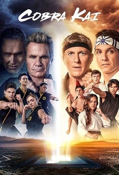 Cobra Kai - Completa (Todas as 6 Temporadas) (Dublado) - PEN-DRIVE INCLUSO