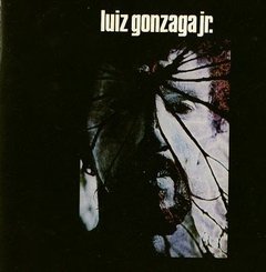 Gonzaguinha 1973 - Luiz Gonzaga Jr - Na escolha de 15 álbuns musicais, 20 filmes ou desenhos, o Pen-Drive será grátis...Aproveite!