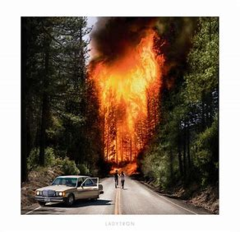 Ladytron 2019 - Ladytron - Na compra de 15 álbuns musicais, 20 filmes ou desenhos, o Pen-Drive será grátis...Aproveite!