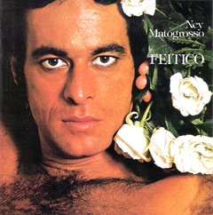 Ney Matogrosso 1978 - Feitiço - Na escolha de 15 álbuns musicais, 20 filmes ou desenhos, o Pen-Drive será grátis...Aproveite!