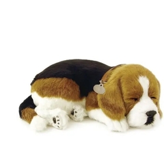 Perfect Petzzz (filhotes) Cachorro Bulldog - comprar online