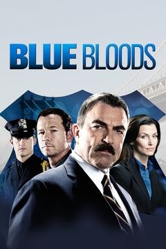 Sangue Azul (Blue Bloods) - 09ª Temporada (Dublado) - PEN-DRIVE INCLUSO - comprar online