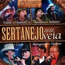 Sertanejo Na Veia - 20 Sucessos Ao Vivo - Na Escolha de 10 álbuns musicais, 10 filmes ou desenhos, o Pen-Drive será grátis...Aproveite!