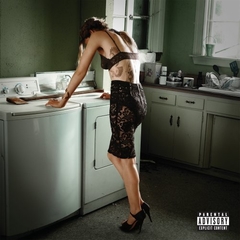 Skylar Grey 2013 - Don't Look Down - Na compra de 15 álbuns musicais ou 20 filmes e desenhos, o Pen-Drive será grátis...Aproveite!