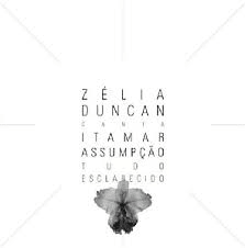 Zélia Duncan 2012 - Tudo Esclarecido - Na escolha de 15 álbuns musicais, 20 filmes ou desenhos, o Pen-Drive será grátis...Aproveite! - comprar online