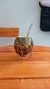 Mate de calabaza con pie (Chico) - comprar online