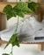 Nike Air Max Blancas - comprar online