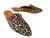 Mule Onça Animal Print Feminino Bico Fino Linha Gold (MULONC) - Utilidades Shopping
