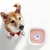 Imagem do Bebedouro Inteligente para pet (BE-001)