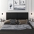 Cabeceira Cama Casal Quarto Box Estofada 1,40 Tulipa Preto (tul01) - comprar online
