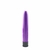 Personal Seu vibro Multivelocidade Roxo - 13cm (VMPS006-R)